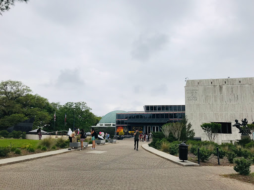 Image of African Forest