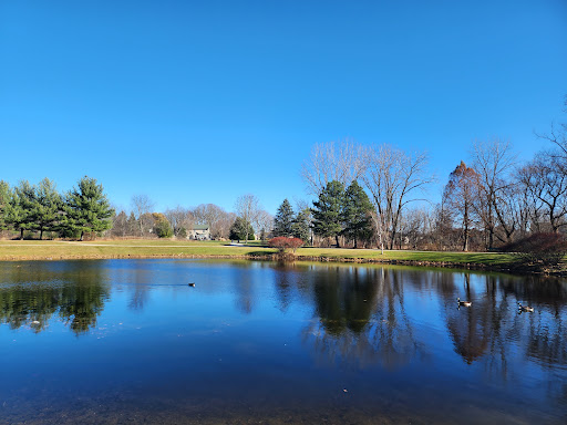 Image of Al Lease Park