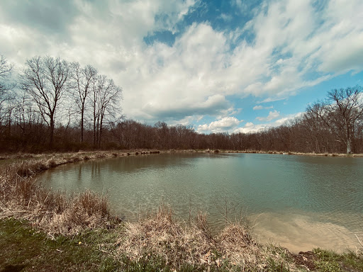 Image of Allardale Park