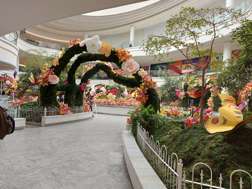 Image of American Dream