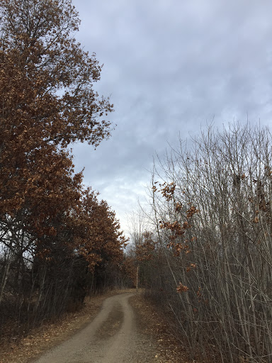 Image of Anoka Nature Preserve
