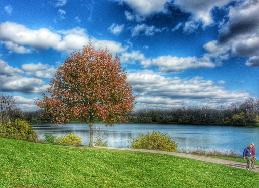 Image of Antrim Park