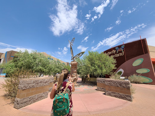 Image of Arizona Boardwalk