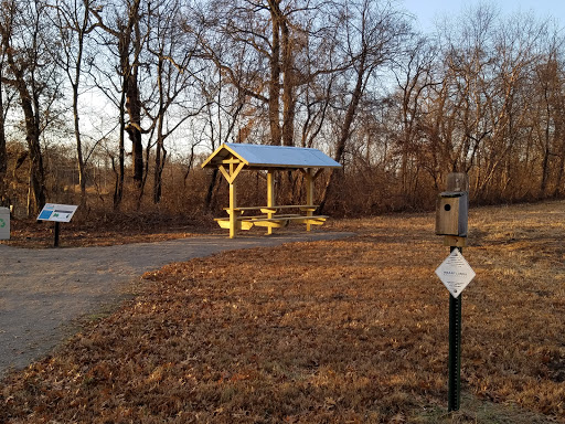 Image of Arlington Wetlands