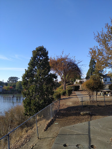 Image of Arneson Park