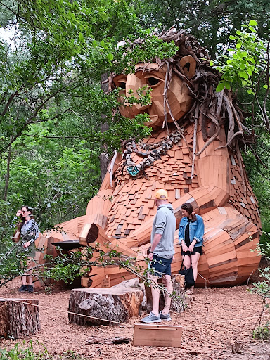 Image of Austin Troll Malin