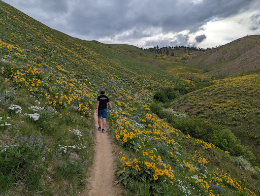 Image of Balsamroot Trail: Informal Public Access