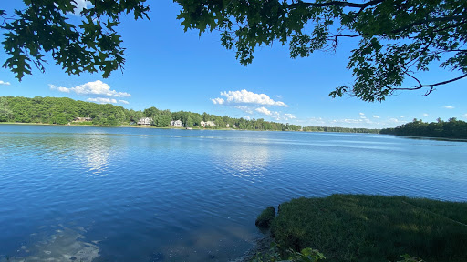 Image of Bellamy River Wildlife Management Area