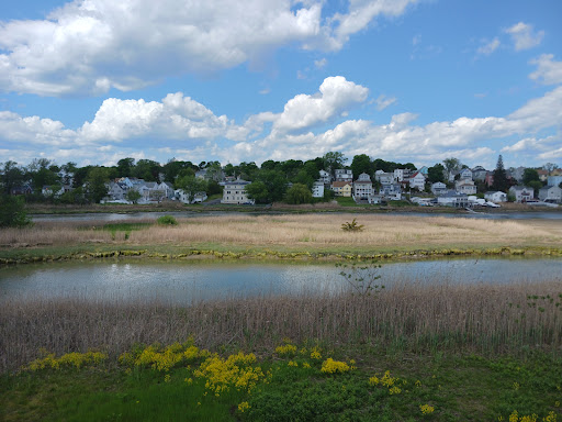 Image of Belle Isle Marsh Reservation
