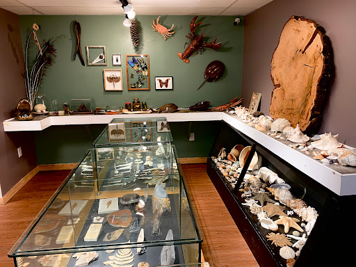 Image of Bible Adventure Land