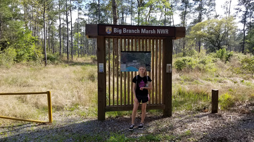 Image of Big Branch Marsh NWR