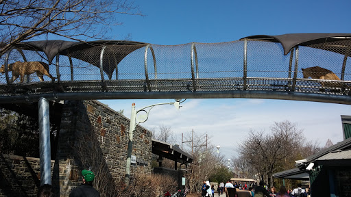 Image of Big Cat Falls