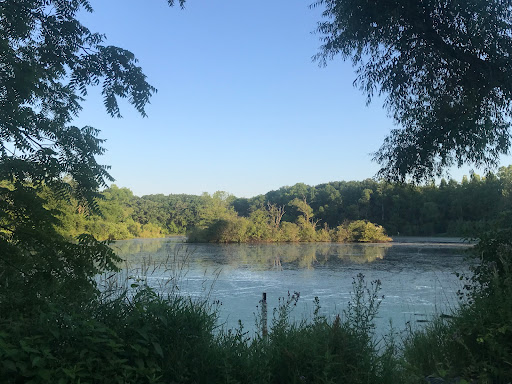 Image of Binnie Forest Preserve