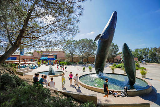 Image of Birch Aquarium