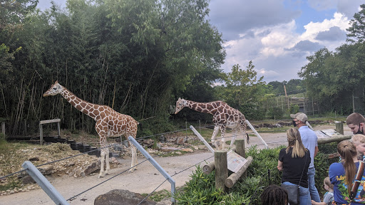 Image of Birmingham Zoo