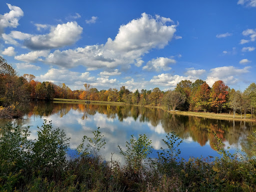 Image of Blendon Woods Metro Park