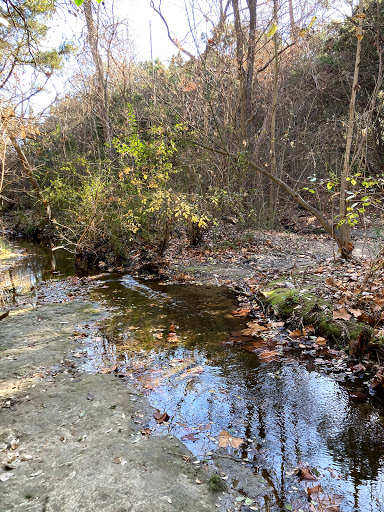 Image of Blunn Creek Nature Preserve