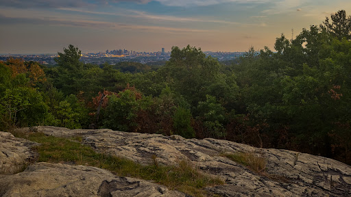 Image of Boston Viewpoint