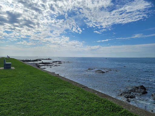 Image of Brenton Point State Park