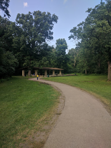 Image of Brezina Woods