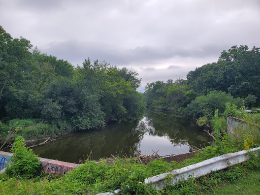Image of Brookfield Woods