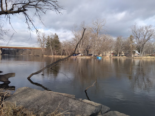 Image of Brunner Family Forest Preserve