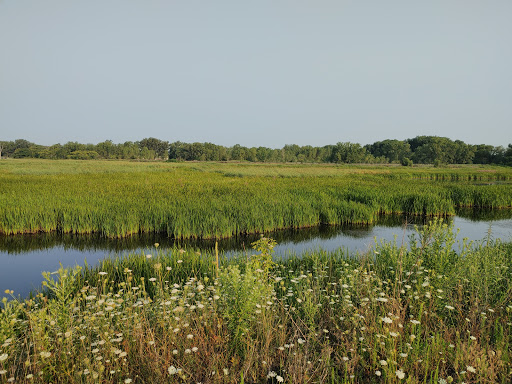 Image of Burnham Prairie Nature Preserve