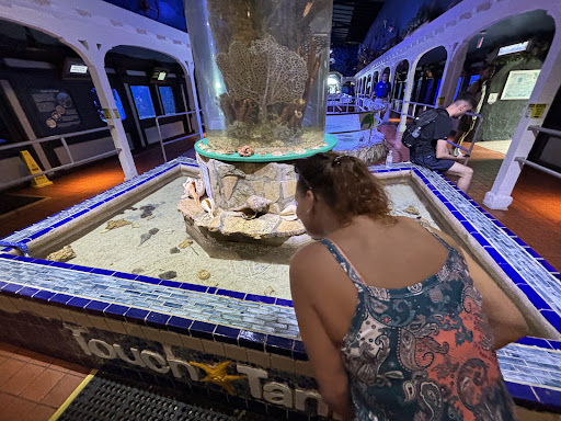 Image of Butterfly house