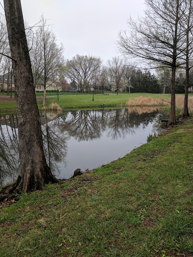 Image of C of E Park