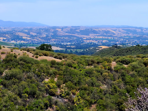 Image of Calcareous Vineyard Tasting Room