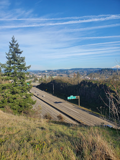 Image of Camassia Nature Preserve