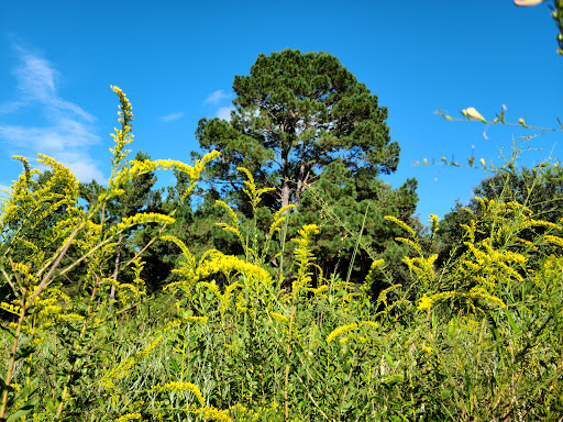 Image of Camp Milton Historic Preserve