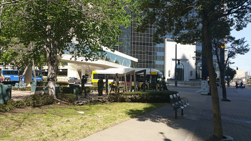 Image of Celebration of Life Park