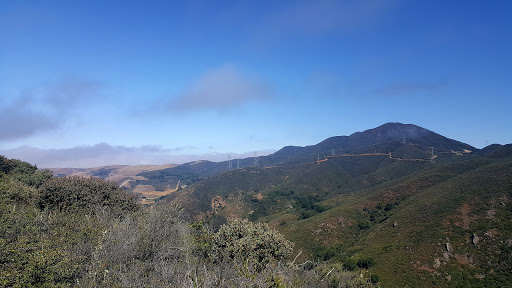 Image of Cerro Alto Trail