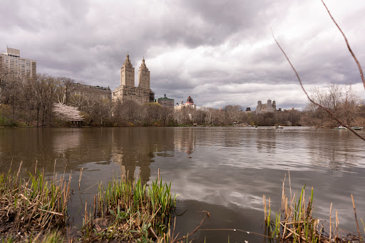 Image of Cherry Hill