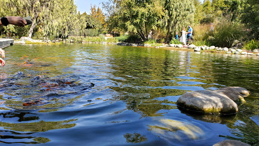 Image of Children's Discovery Garden
