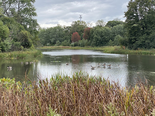 Image of Churchill Woods