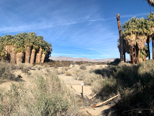 Image of Coachella Valley Preserve - Thousand Palms Oasis Preserve
