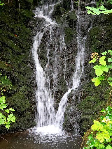 Image of Coffee Creek Falls