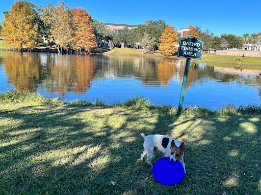 Image of Community Playground