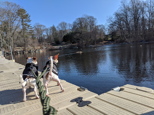 Image of Connecticut College Arboretum