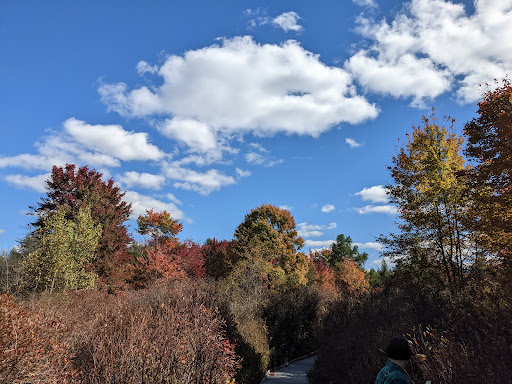 Image of Cooperrider-Kent Bog State Nature Preserve