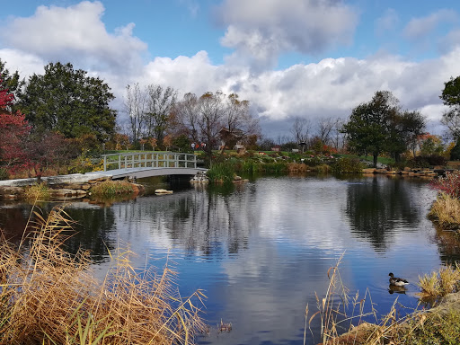 Image of Cox Arboretum MetroPark