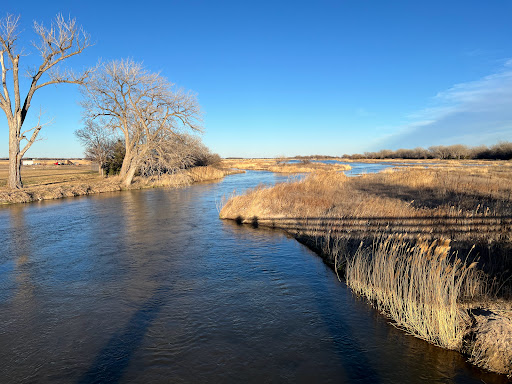 Image of Cranes viewing bridge