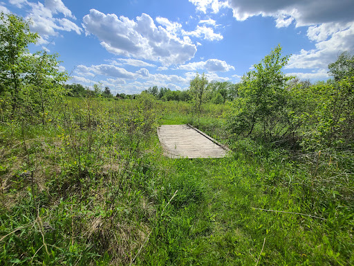 Image of Cressmoor Prairie Nature Preserve