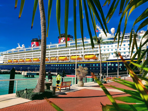 Image of Cruise Piers