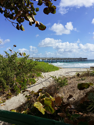 Image of Dania Beach