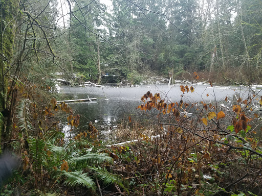 Image of Deering Wild Flower Acres