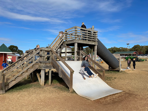 Image of Denver Downs