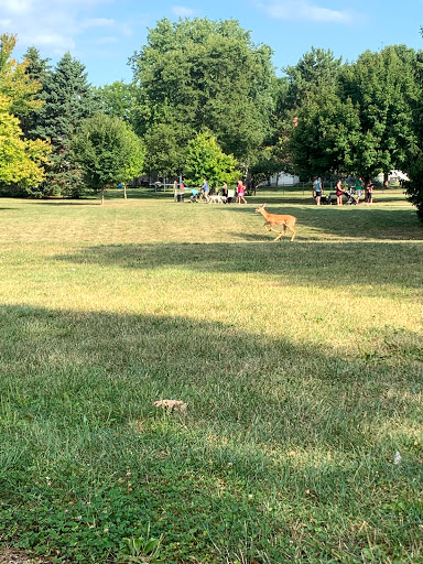 Image of Dexter Falls Park